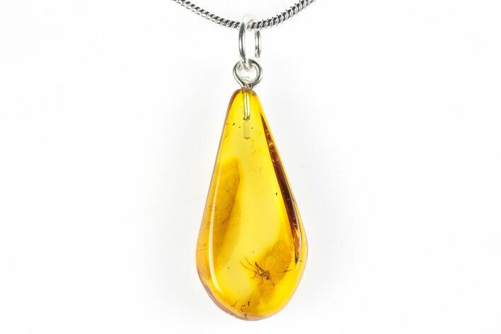 Polished Baltic Amber Pendant (Necklace) - Contains Fly! #288846